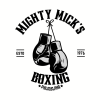 Mighty Micks Boxing 1976 Philadelphia Tapestry Official Boxing Merch