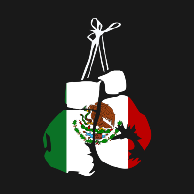 Mexico Boxing Gloves With Mexican Flag For Boxer Hoodie Official Boxing Merch