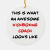 kickboxing coach awesome ceramic ornament r0534bb3bca374fe49ad7054d11d8bcc4 x7s2y 8byvr 307 - Boxing Gifts Shop